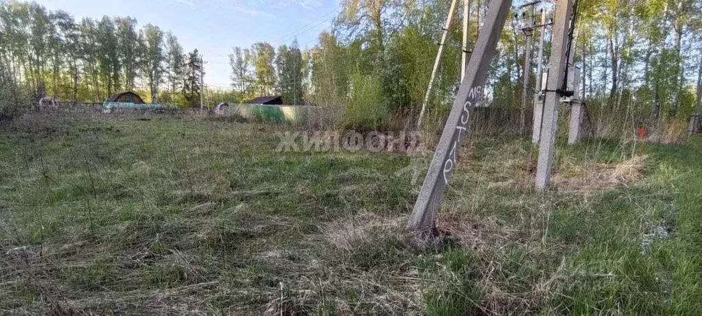 Участок в Новосибирская область, Искитимский район, Морозовский ... - Фото 1