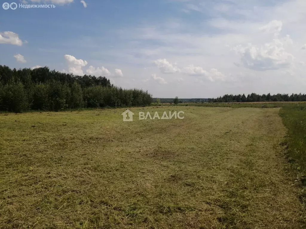 Участок в Суздальский район, муниципальное образование Селецкое, село ... - Фото 1