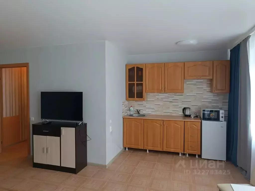 Студия Свердловская область, Тавда 9 Мая ул., 3 (31.0 м) - Фото 2