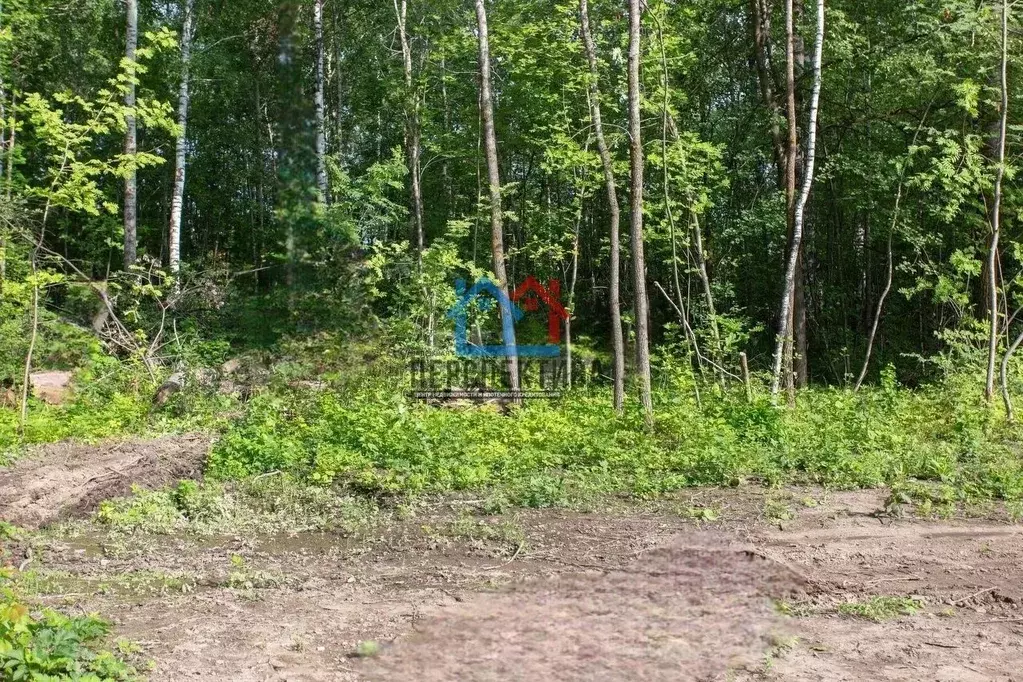 Участок в Тюменская область, Тобольск Усадьба мкр,  (10.0 сот.) - Фото 1