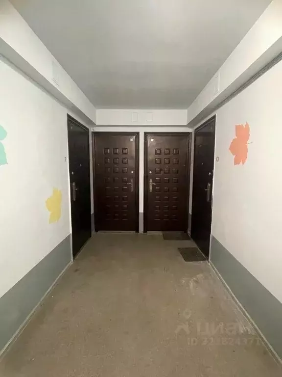 Студия Челябинская область, Сосновский муниципальный округ, Поселок ... - Фото 2