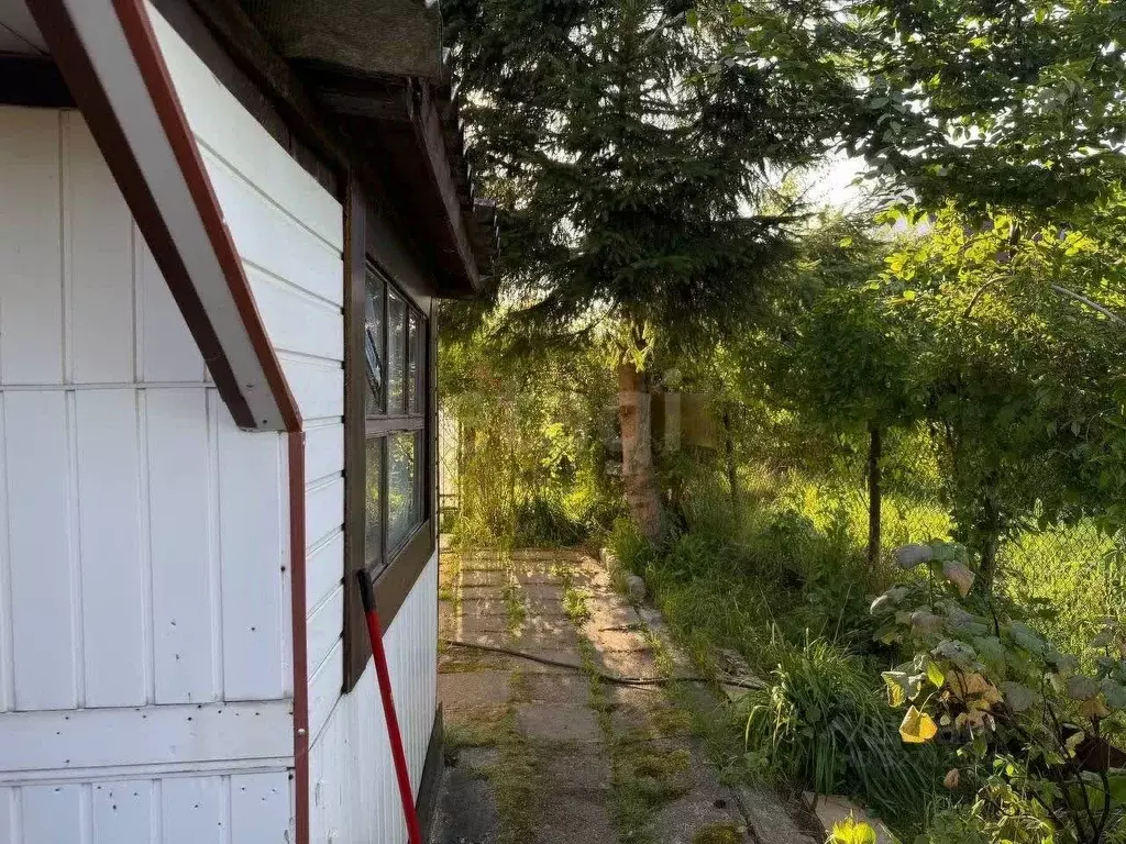 Дом в Калининградская область, Светлогорск Радуга СНТ, 6-я линия (54 ... - Фото 2