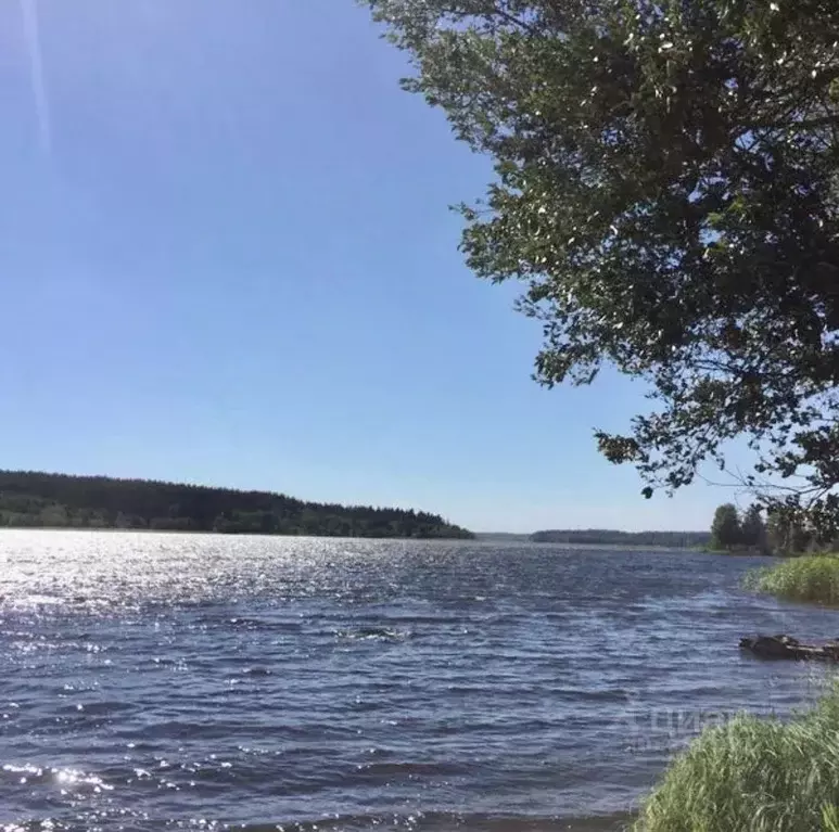 Участок в Новгородская область, Валдайский район, Едровское с/пос, с. ... - Фото 1