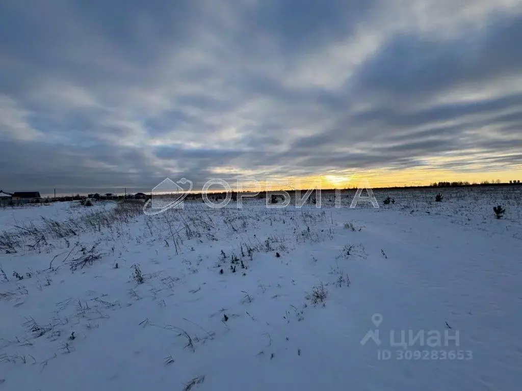 Участок в Тюменская область, Тюменский район, с. Ембаево  (7.27 сот.) - Фото 1
