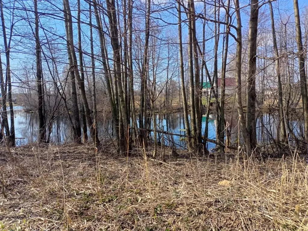 Участок в Нижегородская область, Лысковский район, с. Нижний Красный ... - Фото 1