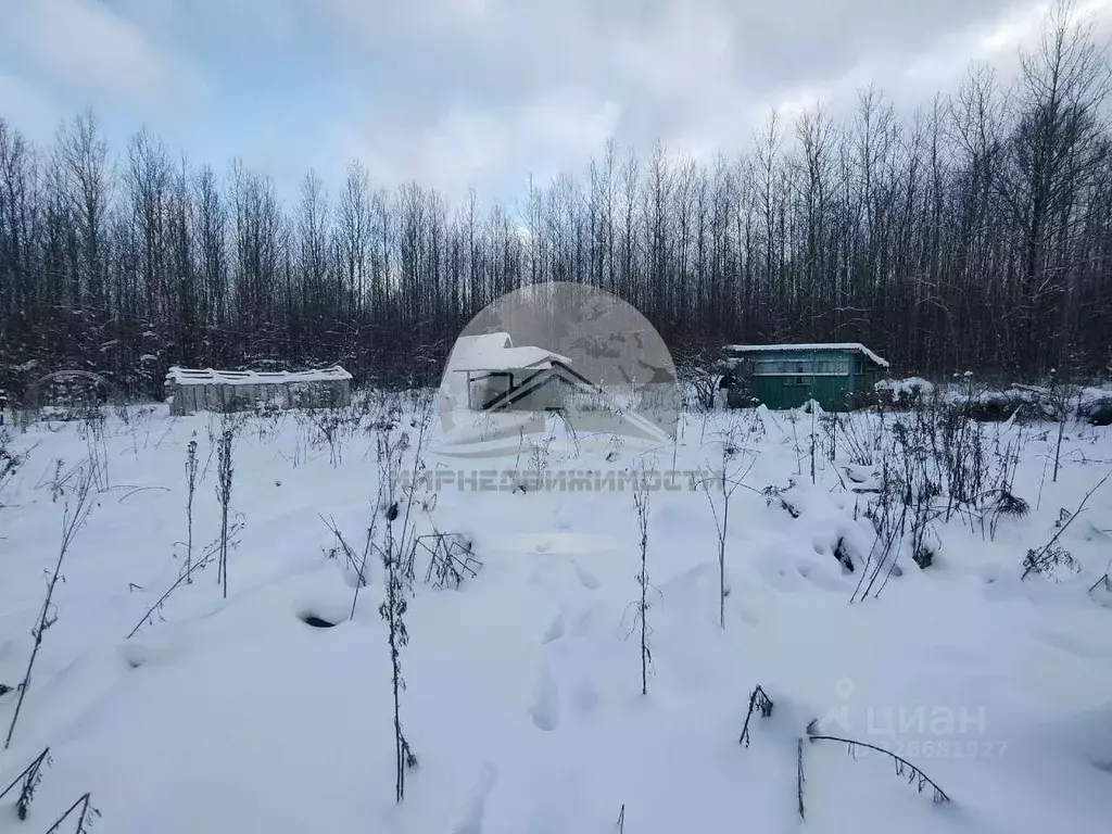 Участок в Новгородская область, Новгородский район, Ермолинское с/пос, ... - Фото 1