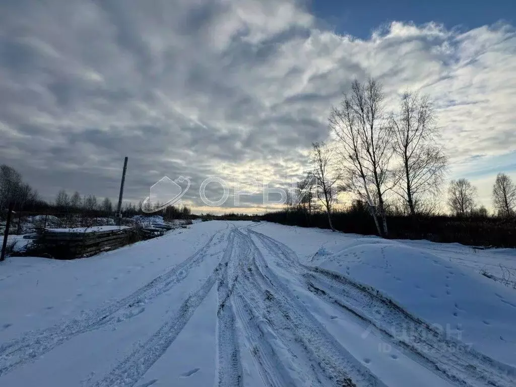 Участок в Тюменская область, Тюмень Поле Чудес садовое товарищество, ... - Фото 2