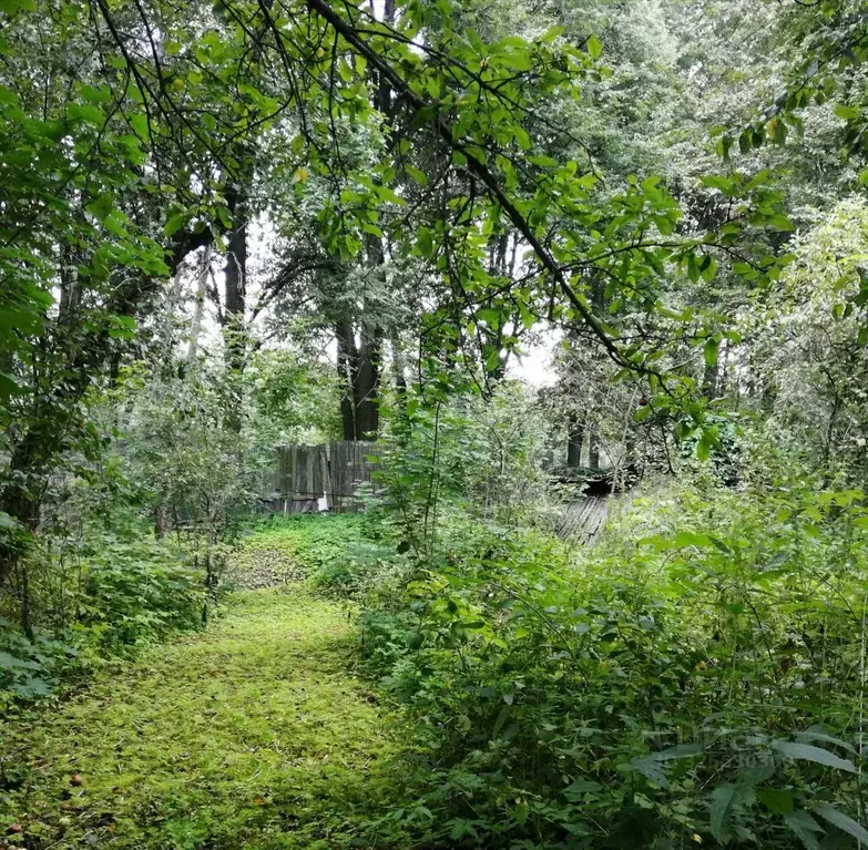 Участок в Московская область, Раменский муниципальный округ, Удельная ... - Фото 0