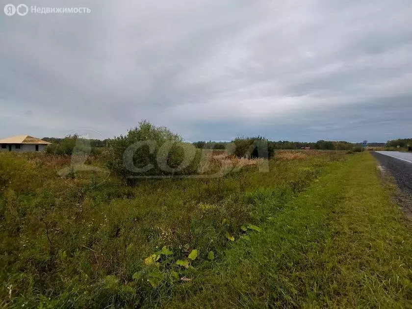 Участок в Тюменский район, деревня Коняшина (20 м) - Фото 0