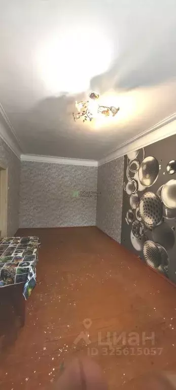 1-к кв. Марий Эл, Волжск ул. Леваневского, 4 (41.3 м) - Фото 1