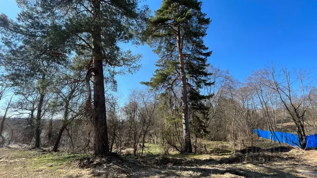 Участок в Калужская область, Жуков Озерная ул. (19.0 сот.) - Фото 0