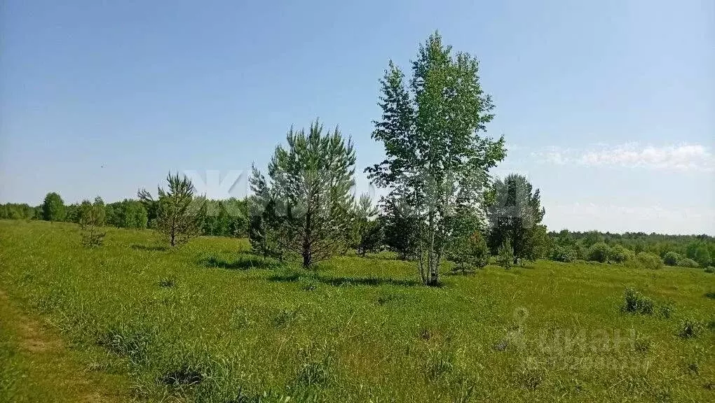 Участок в Новосибирская область, Новосибирский район, Кубовинский ... - Фото 2