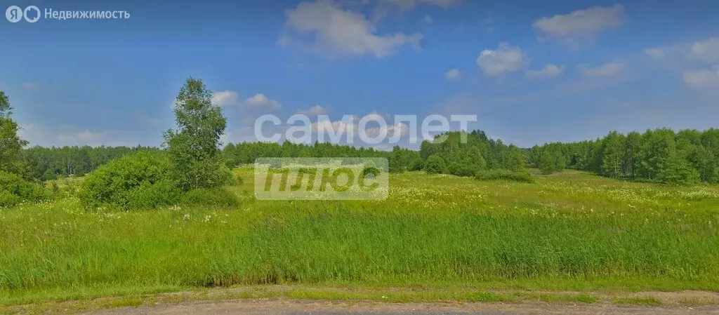 Участок в Сергиево-Посадский городской округ, деревня Ивашково (28 м) - Фото 1