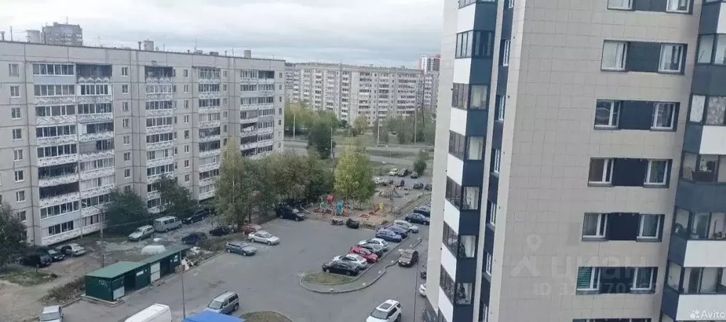 Студия Карелия, Петрозаводск Лососинское ш., 38А (32.5 м) - Фото 1