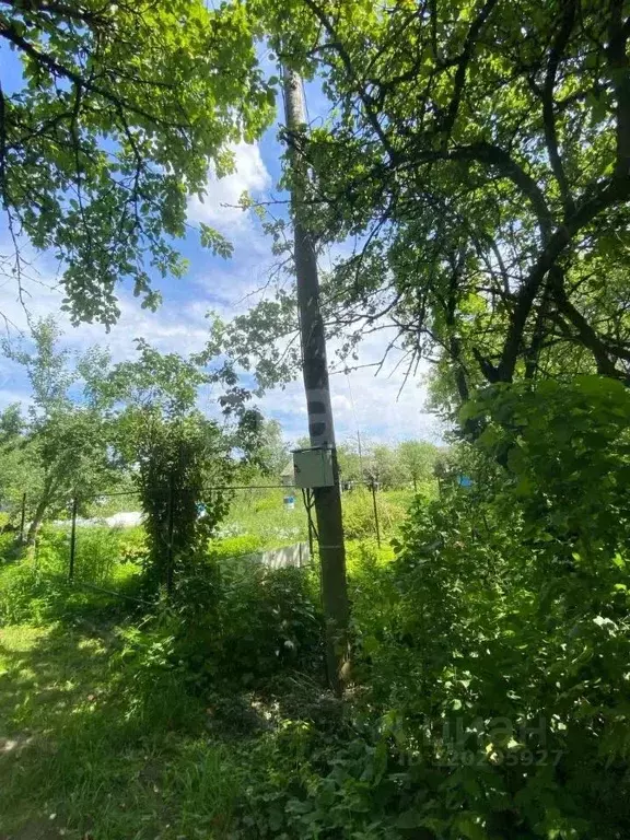 Участок в Брянская область, Брянск Природа садоводческое объединение,  ... - Фото 1