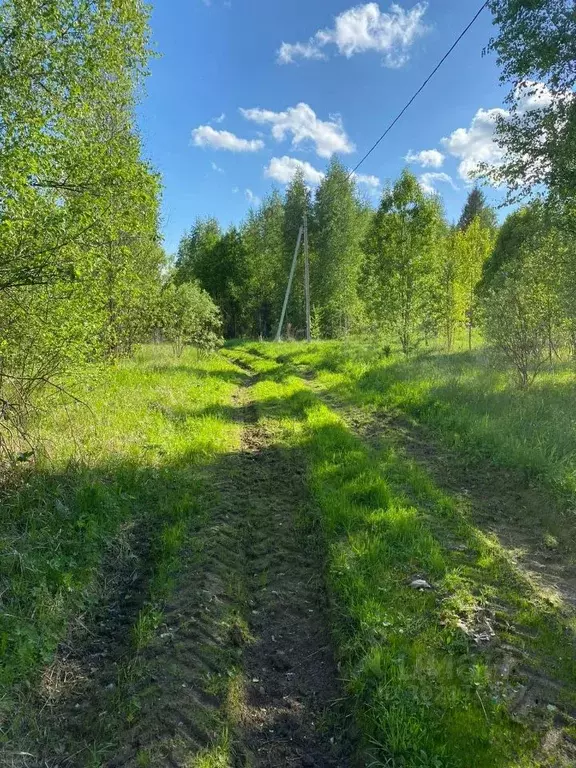 участок в новгородская область, маловишерский район, бургинское с/пос, . - Фото 1