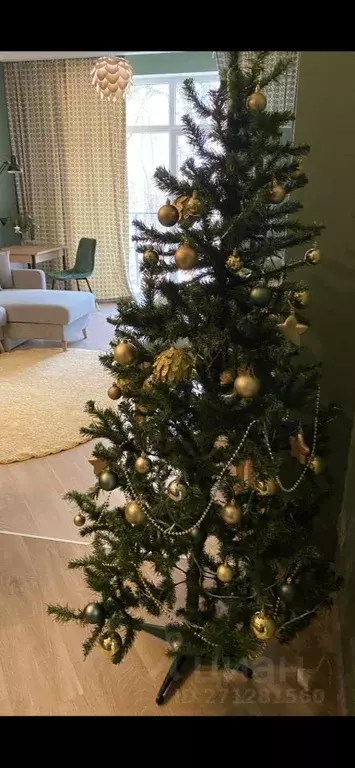 2-к кв. Калининградская область, Светлогорск Балтийская ул., 6 (49.0 ... - Фото 2