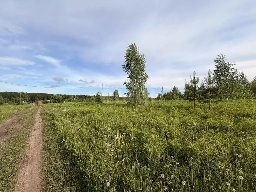 Участок в Нижегородская область, Богородский муниципальный округ, д. ... - Фото 2