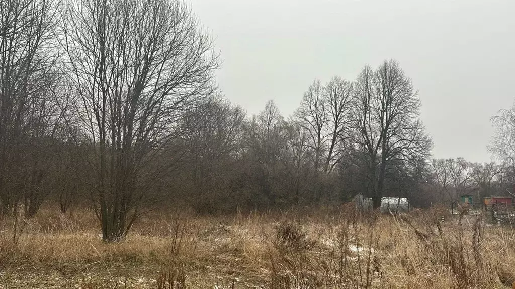 Участок в Московская область, Ступино городской округ, д. Дворяниново  ... - Фото 0