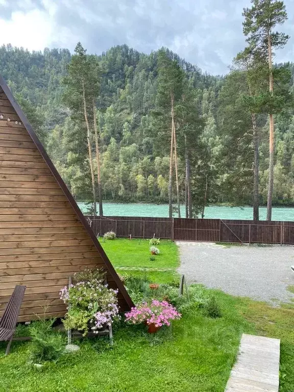 Дом в Алтай, Чемальский район, с. Чепош Родниковая ул., 46А (36 м) - Фото 1