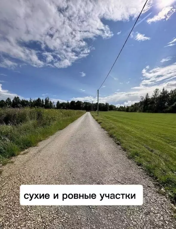 Участок в Ленинградская область, Гатчинский муниципальный округ, д. ... - Фото 1
