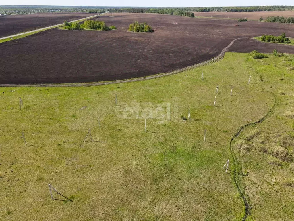 Участок в Тюменская область, Тюменский район, с. Червишево  (10.0 ... - Фото 1