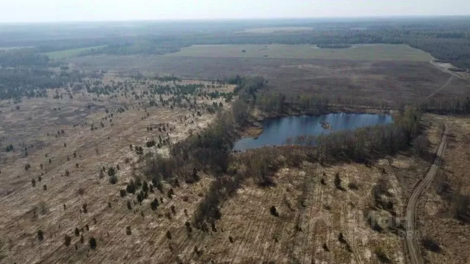 Участок в Рязанская область, Клепиковский район, Уткинское с/пос, д. ... - Фото 1