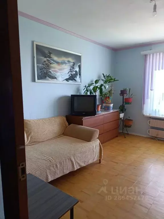 Комната Московская область, Солнечногорск городской округ, Андреевка ... - Фото 1