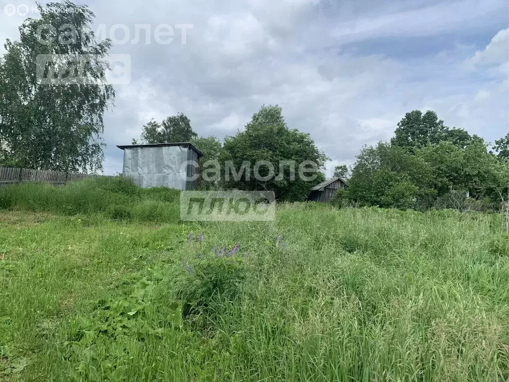 Участок в Вологодский муниципальный округ, деревня Ильинское ... - Фото 0