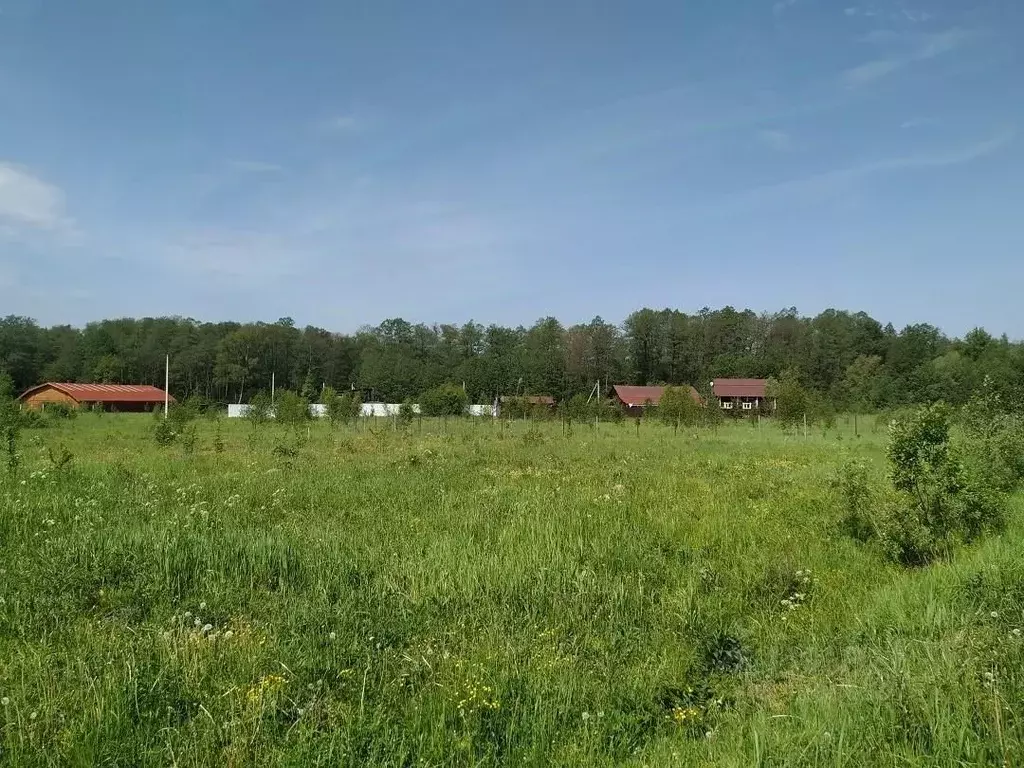 Участок в Московская область, Чехов муниципальный округ, д. Ишино ул. ... - Фото 1