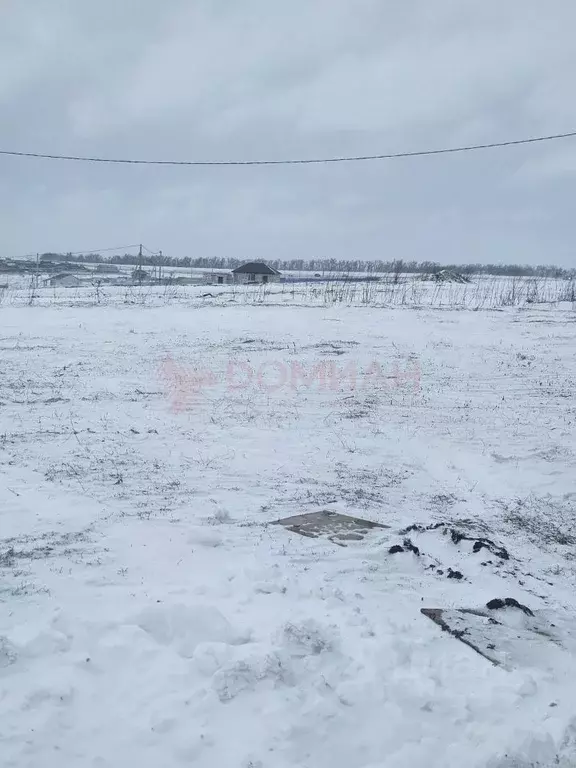 Участок в Ростовская область, Аксайский район, Мишкинская ст-ца ул. ... - Фото 1