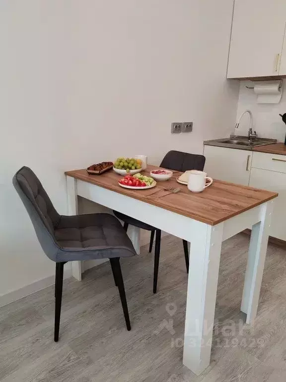 Студия Санкт-Петербург Дальневосточный просп., 23 (24.0 м) - Фото 2