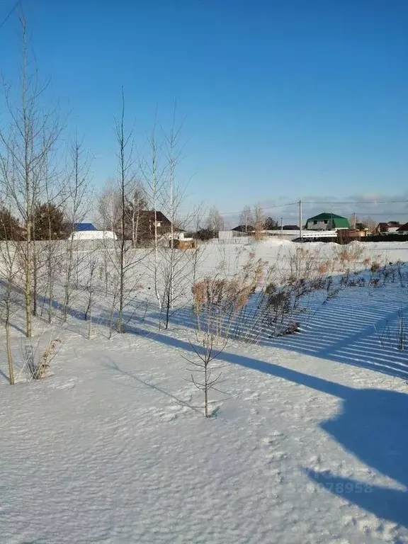 Участок в Новосибирская область, Бердск ул. Закатная (10.0 сот.) - Фото 1