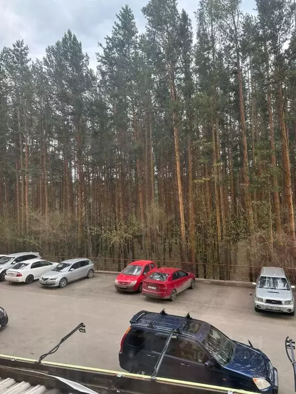 2-к кв. Красноярский край, Красноярск ул. Академгородок, 18д (66.0 м) - Фото 0