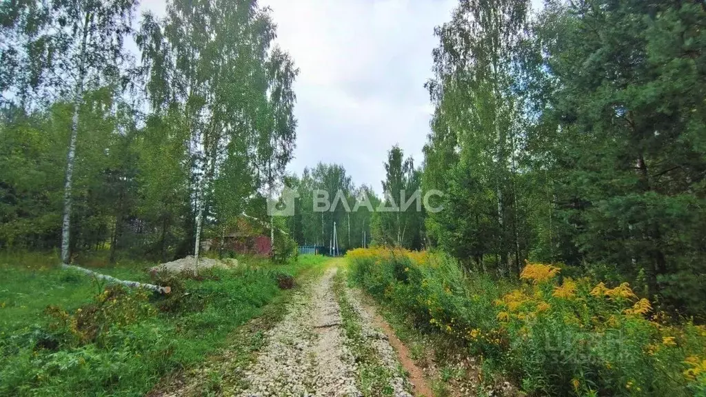 Участок в Владимирская область, Владимир пер. Лукинский, 18 (10.0 ... - Фото 0