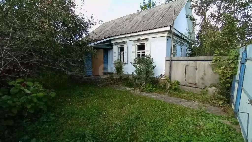 Дом в Брянская область, Климово рп пер. Озерный (53 м) - Фото 1