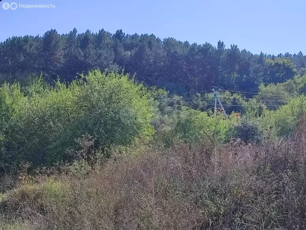 Участок в Денисовка, Родниковая улица (6 м) - Фото 1