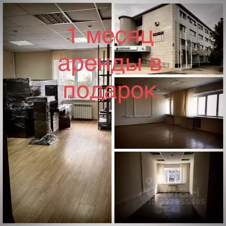 Офис в Ставропольский край, Изобильный Пролетарская ул., 51 (50 м) - Фото 1