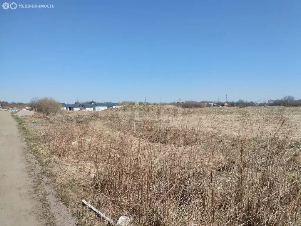 Участок в Калининградская область, Гурьевский муниципальный округ, ... - Фото 1