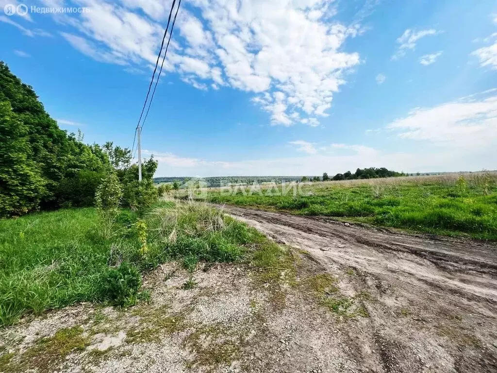 Участок в Пензенский район, Воскресеновский сельсовет, село Большая ... - Фото 1