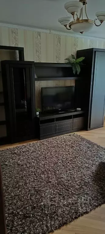 2-к кв. Московская область, Кашира Садовая ул., 14А (45.0 м) - Фото 2