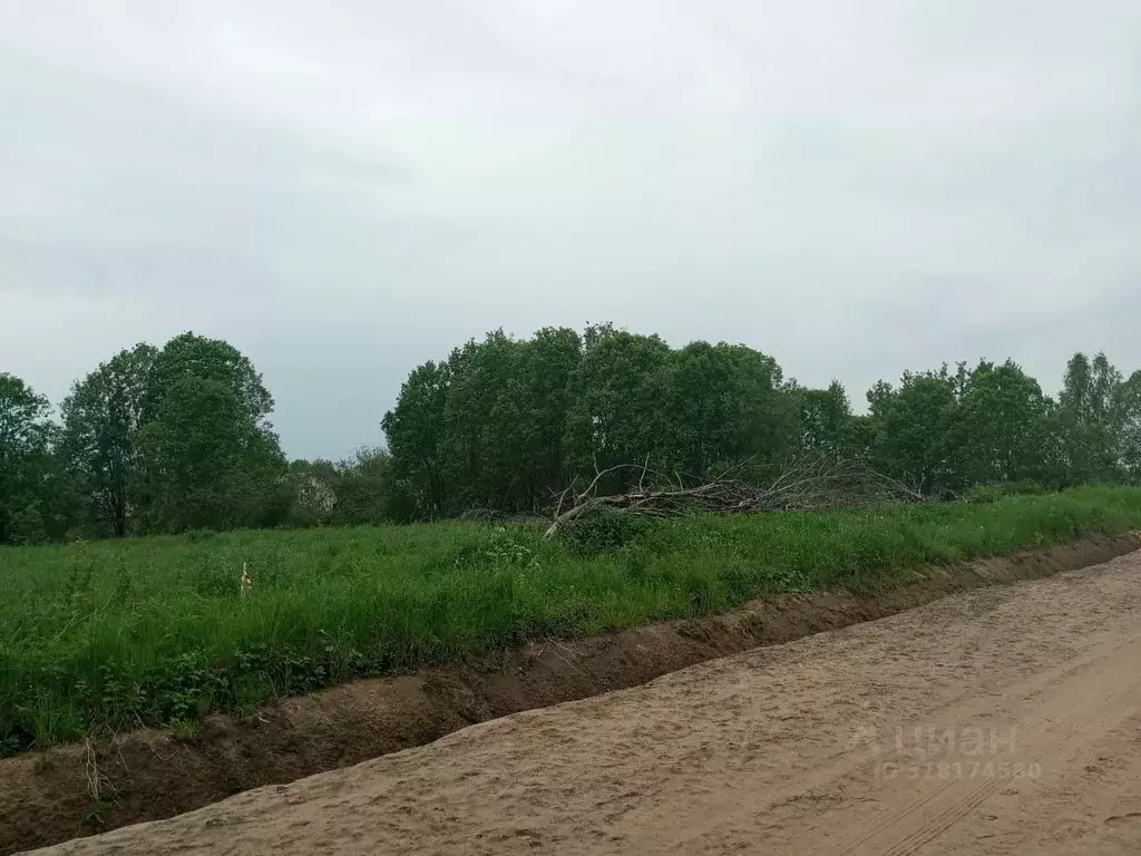 Участок в Новгородская область, Новгородский район, Ермолинское с/пос, ... - Фото 1