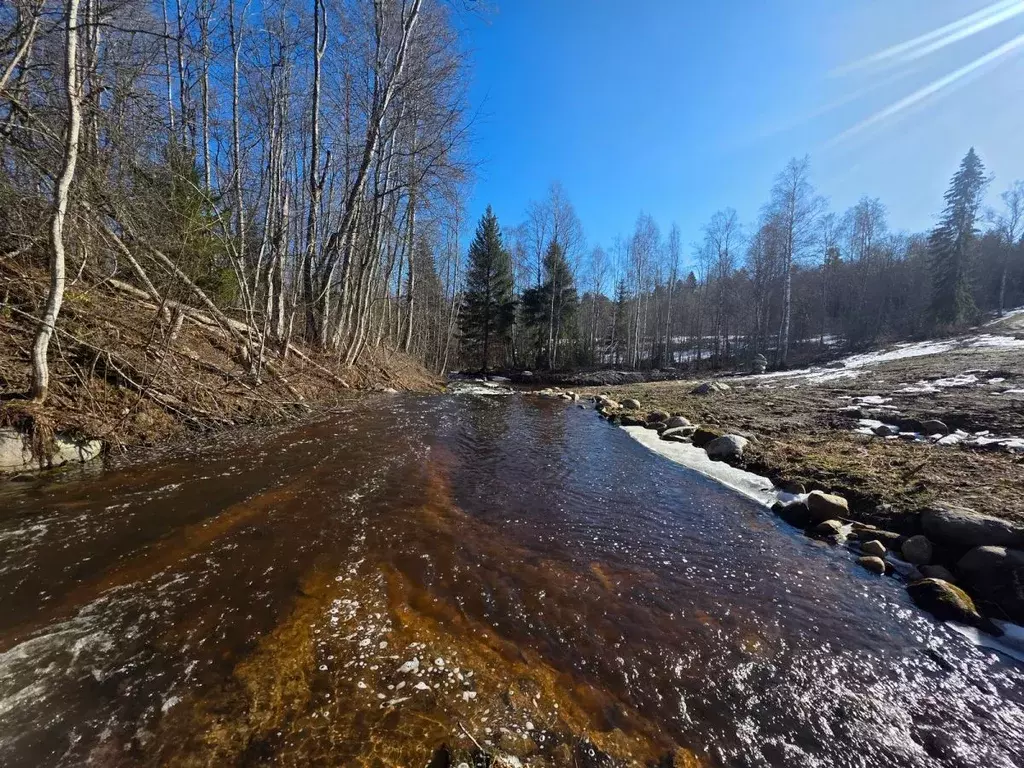 Участок в Карелия, Лахденпохский муниципальный округ, пос. Терваярви ... - Фото 2