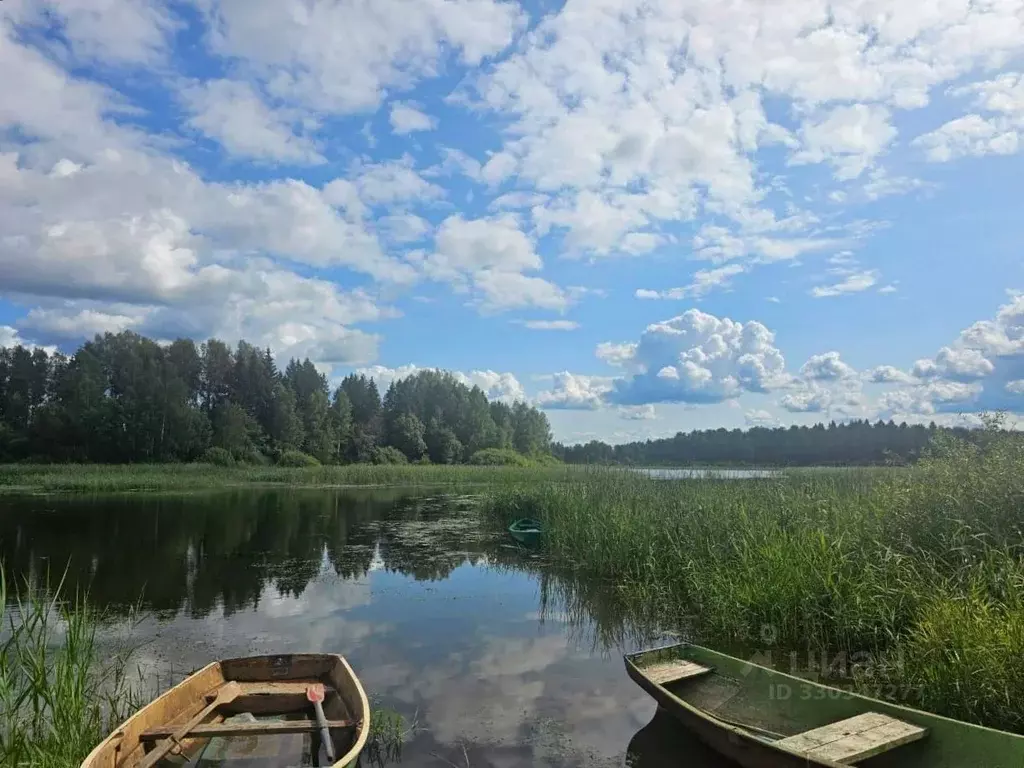 Участок в Московская область, Солнечногорск городской округ, с. ... - Фото 2