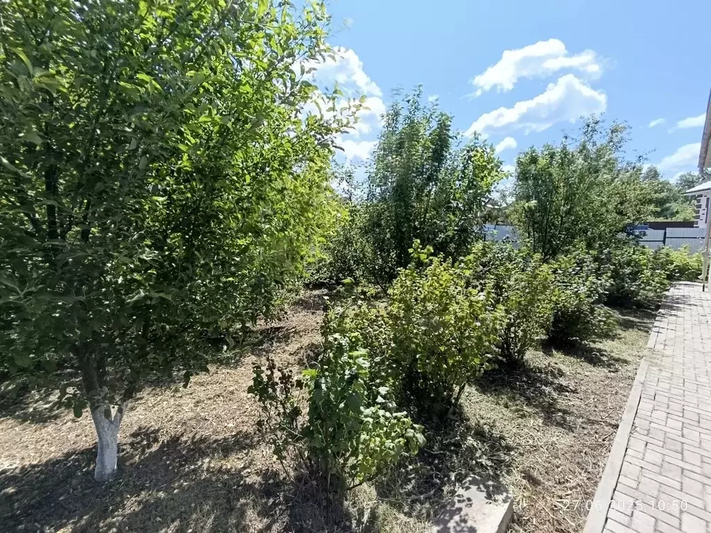 Дом в Белгородская область, Строитель Яковлевский городской округ,  ... - Фото 0