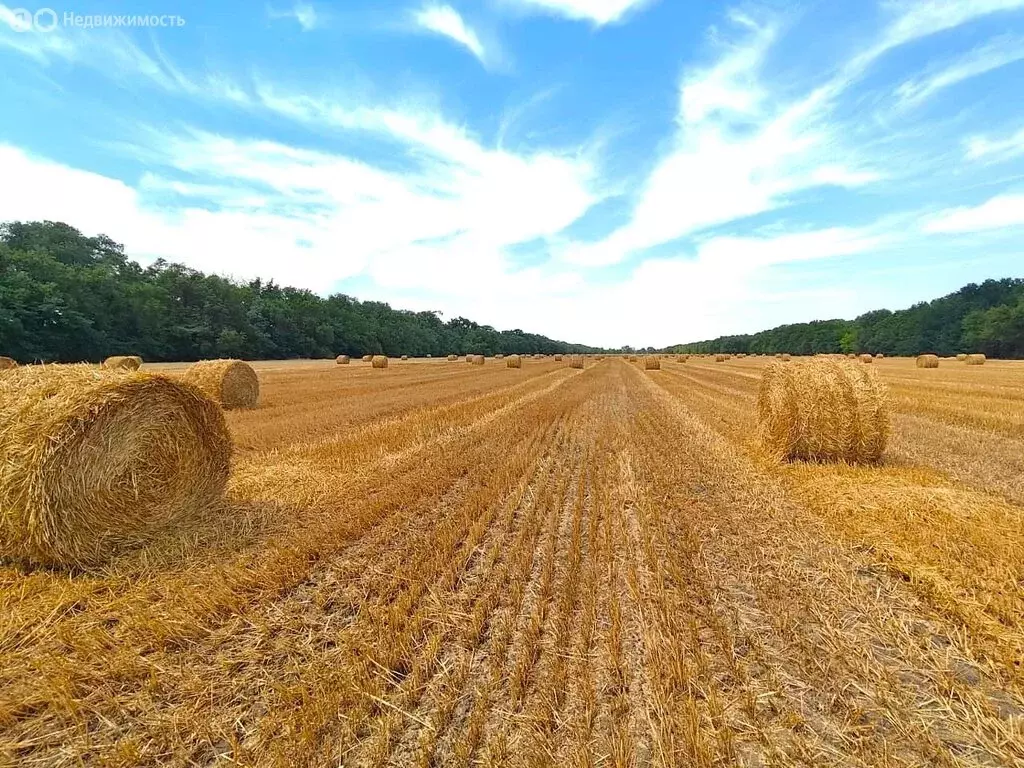 Участок в аул Новая Адыгея, улица Тургеневское шоссе, 20К (4935 м) - Фото 1