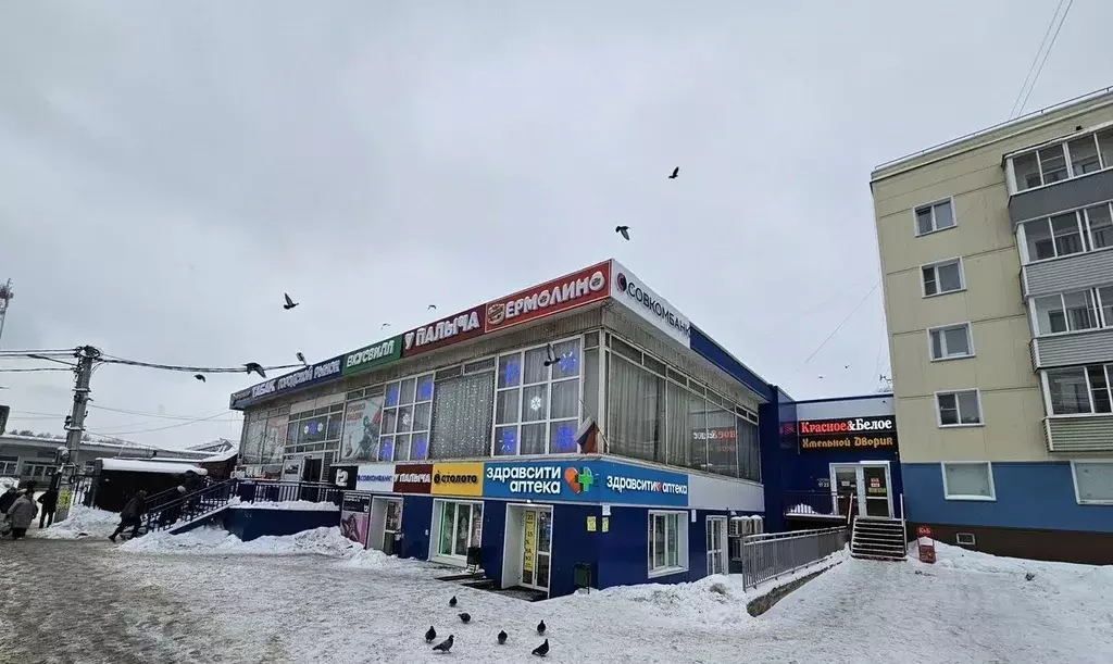 Помещение свободного назначения в Московская область, Куровское ... - Фото 1