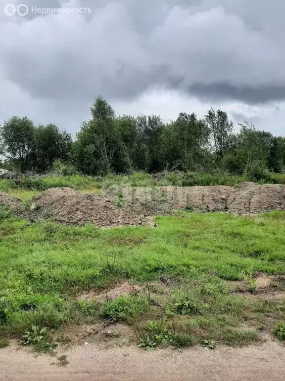 Участок в Калининградская область, Гвардейск (10 м) - Фото 0