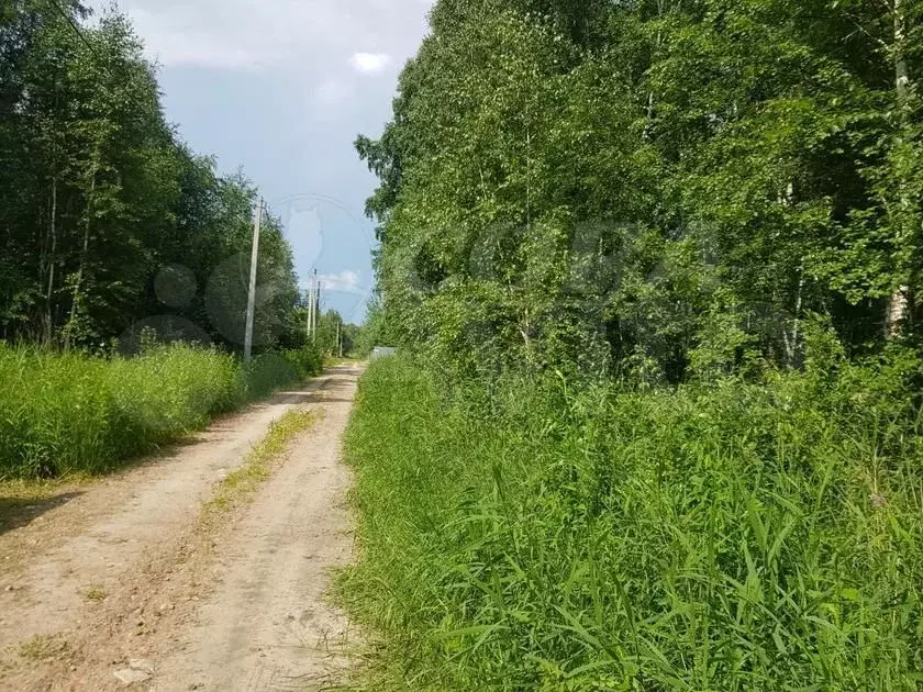 Участок 10 сот. (СНТ, ДНП) - Фото 1