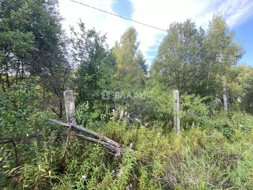 Участок в Московская область, Егорьевск городской округ, пос. Шувое, ... - Фото 1